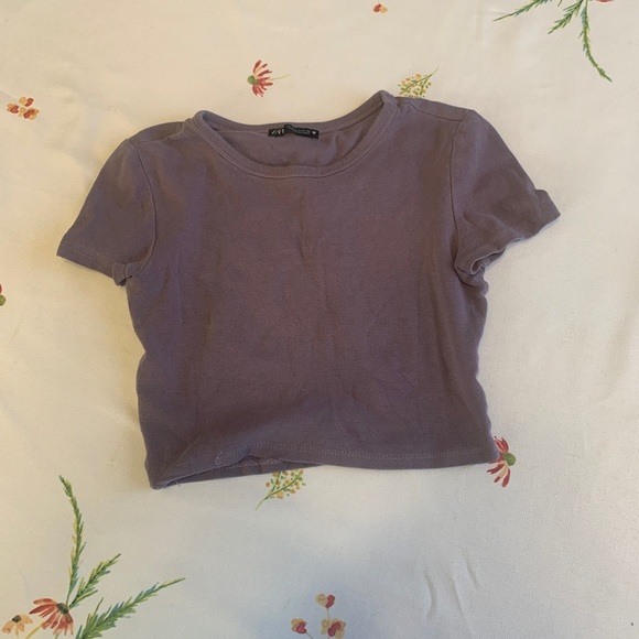 Zara Tops - Cropped purple Zara size small cropped tee shirt top